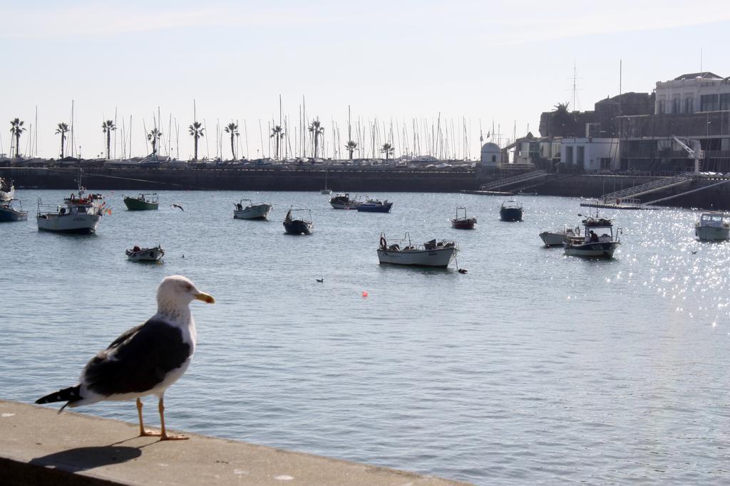 Charming Cascais Apt. Phòng bức ảnh
